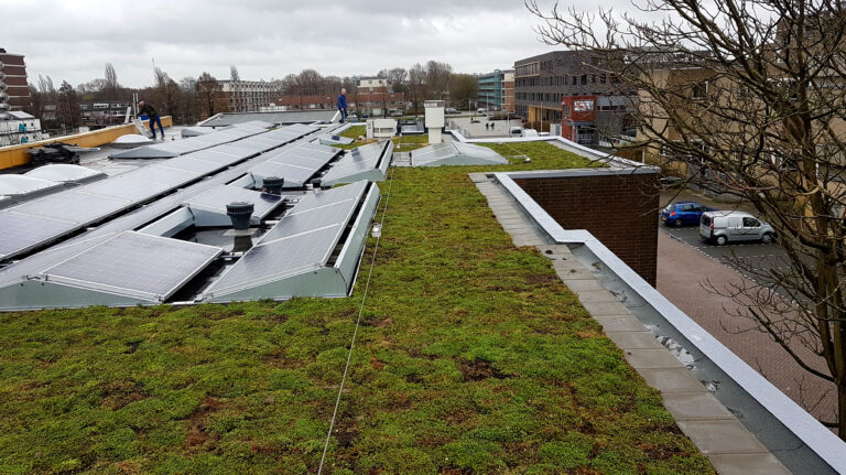 Capelse basisschool heeft groen dak met 147 zonnepanelen