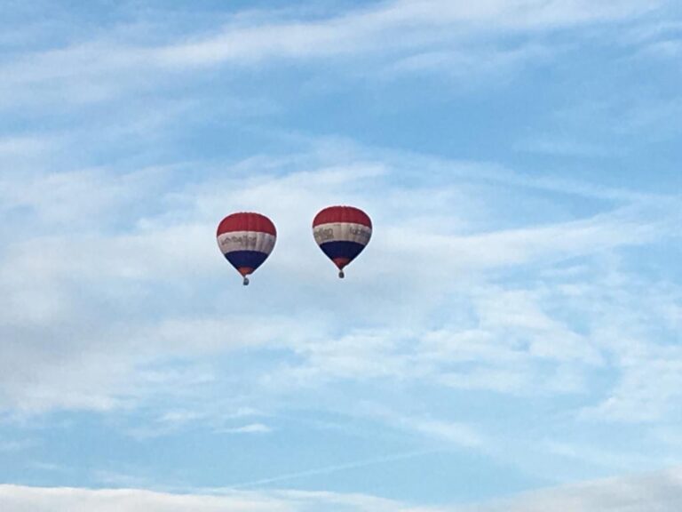 Luchtballonnen stijgen op vanuit het Schollebos