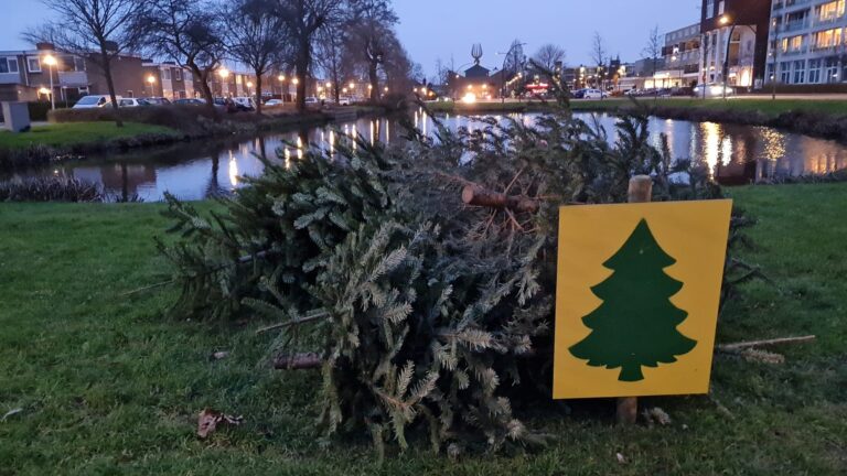 Breng tot 9 januari kerstboom naar een ophaalpunt in jouw buurt